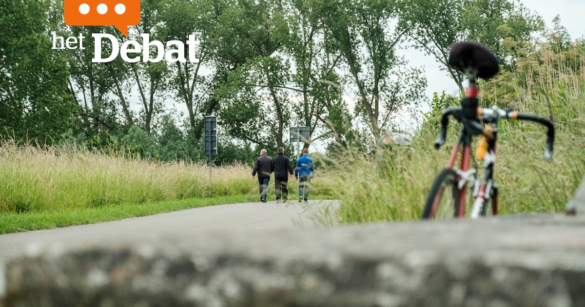 OPROEP. Hoe beleef jij de zomervakantie in Schelle?