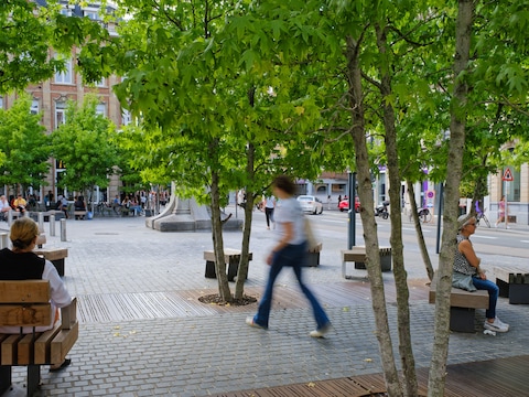 Bomen in de stad zijn belangrijk in de strijd tegen de opwarming, maar zijn ook gewoon erg aangenaam om de openbare ruimte te verfraaien.