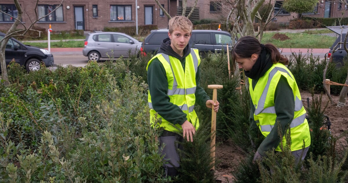 Leerlingen Scheppers en boomkwekers planten microbos aan op nieuwe ...