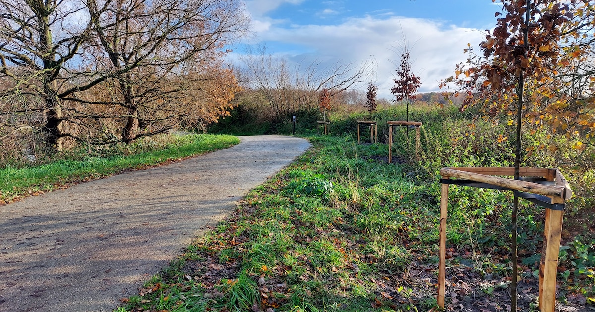 Fietspad langs Bovenvliet vrijdag tijdelijk afgesloten door opruimwerken