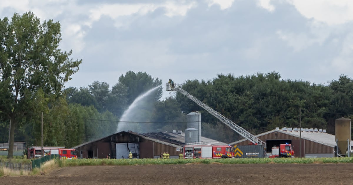 Vonkje tijdens afbraakwerken legt leegstaande pluimveeloods in de as in Gottem: “Gelukkig geen diere