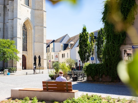 Mechelen plaatst eerste beiaardbank.