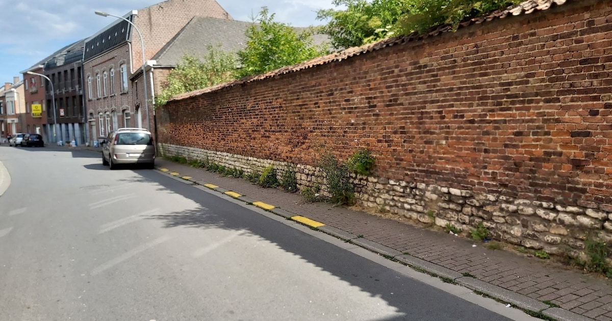 Beroep tegen bouwplannen Gasthuisstraat, project wordt ingetrokken en ...