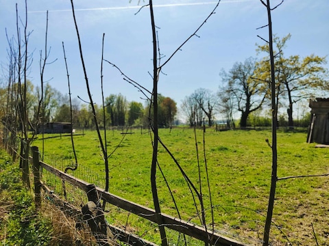 De stad Lier kocht een stuk grond aan in de Beekstraat om een nieuw park aan te leggen 