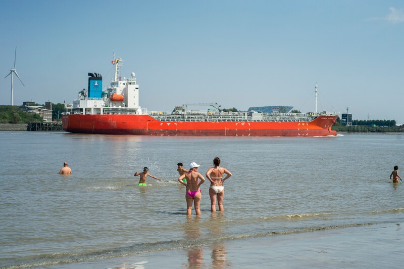 Met je voeten in het water van de Schelde gaan, kan geen kwaad, maar je eet beter geen vis uit de Schelde.