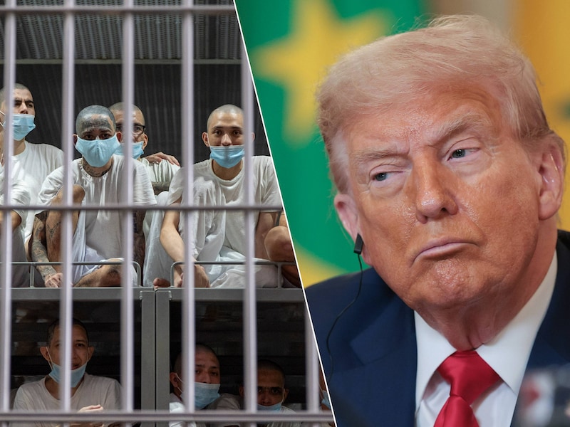 Een megagevangenis in El Salvador waar honderden uit de VS gedeporteerde Venezolaanse migranten vastzitten/ Donald Trump