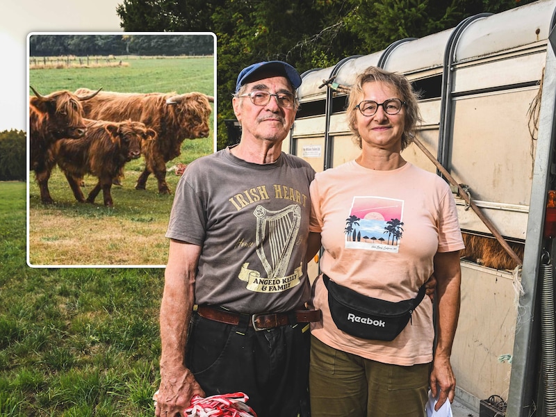Kerstin (61) en Toni Heinen (79) moesten vluchten voor de brand. Kleine foto: drie van de vijf Schotse hooglanders. 