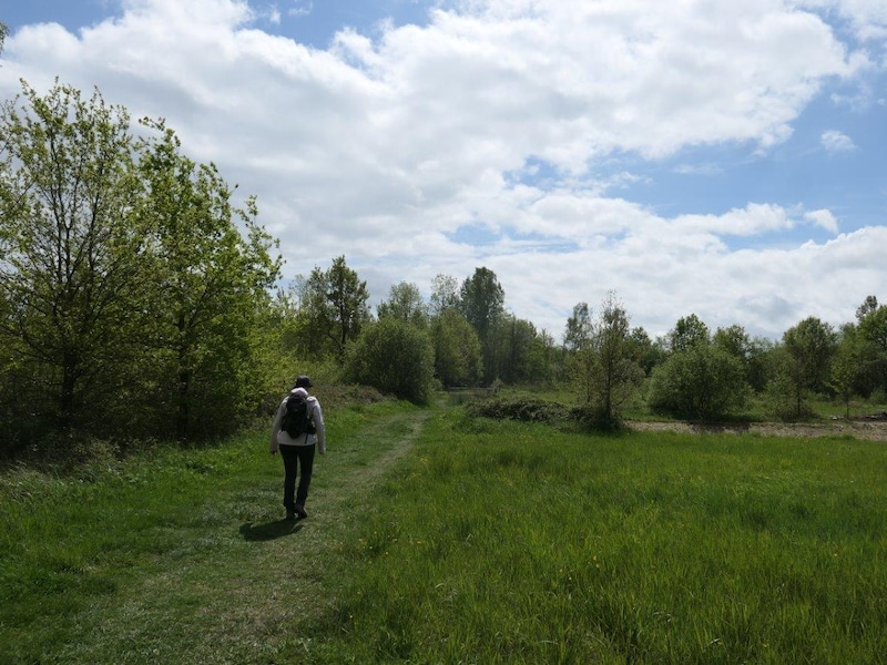 WSV wandelingen in Wetteren