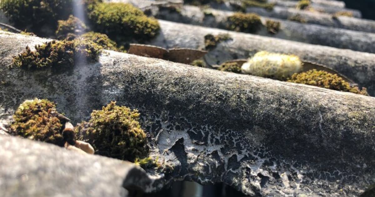 Luchtmetingen aan werf Zevenhuizen tonen geen verhoogde asbestwaarden