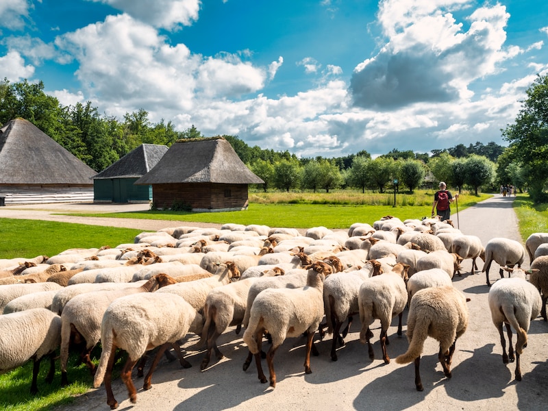 Bokrijk voor de vierde keer erkend door UNESCO als expertiseorganisatie voor immaterieel erfgoed