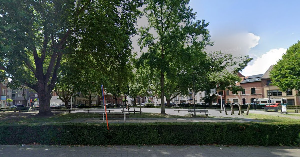 Hasselt neemt extra maatregelen na meldingen van vergiftiging van dieren op het Sint-Jansplein