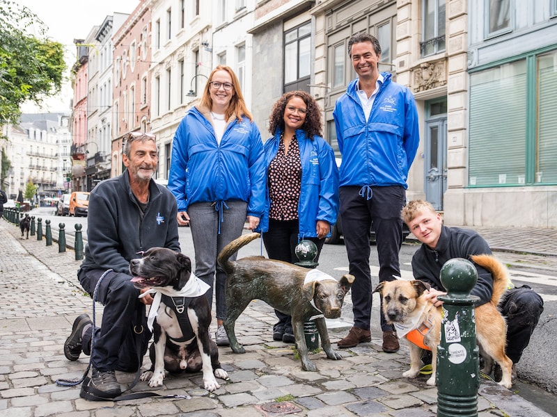 Asielhonden op stap door Brussel