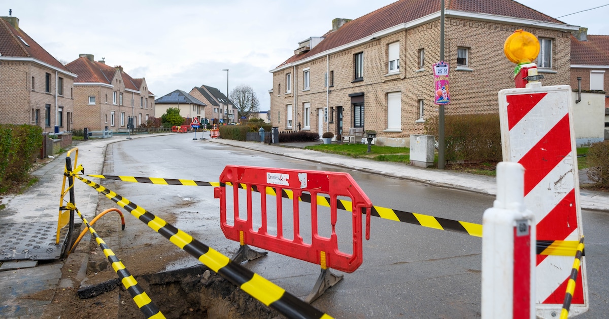 Drie straten in wijk Tervuursesteenweg op de schop: nieuwe riolering én vergroening tegen oktober
