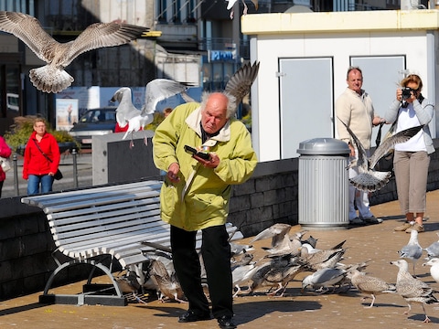 Meeuwen blijven verlekkerd op afval en zijn zelfs niet te beroerd om dat bij etende mensen te gaan roven, zoals hier in Oostende (archiefbeeld). De kustgemeenten doen er dan ook alles aan om die overlast aan te pakken.