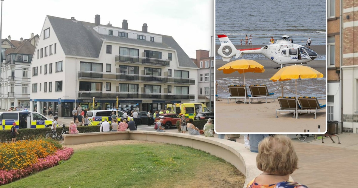 Ouders trekken jongetje (8) nog terug bij rood licht, maar politiecombi kan  botsing niet vermijden | Regio | HLN.be