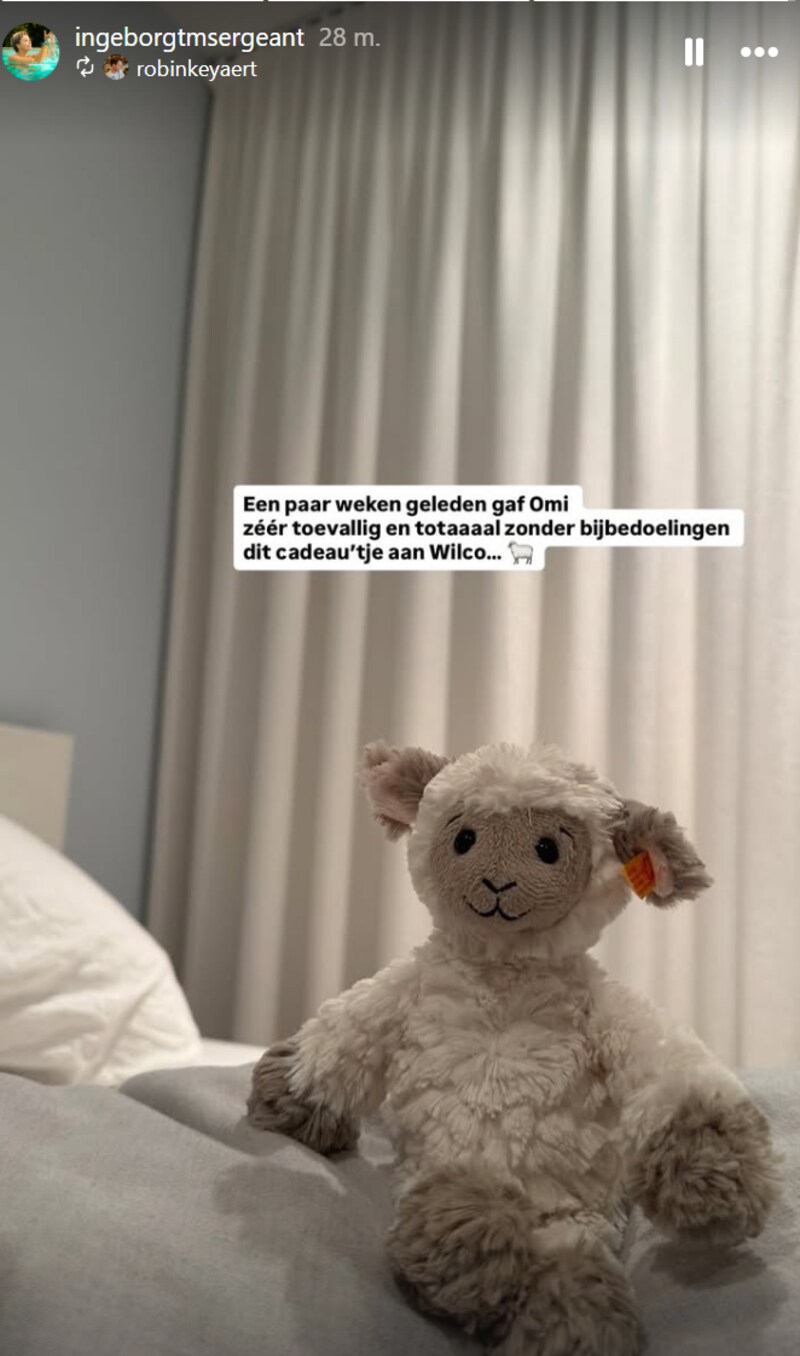 BV 24/7. Metejoor en Celine Van Ouytsel delen romantische foto’s en ...