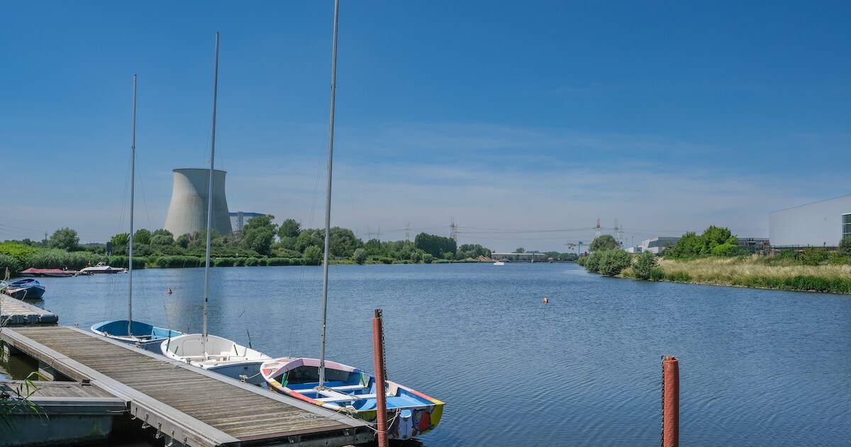 Na vondst tientallen dode ganzen recreatie-, zwem- en captatieverbod in ...