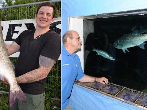 Matthew Clark (29) met zijn winnende vis (links) die hij uit een aquarium (rechts) had gestolen.