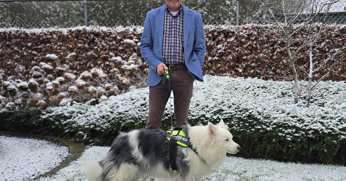 Begrafenisondernemer Danny (62) uit Heusden gaat met pensioen: “Het zijn 44 intense jaren geweest, m