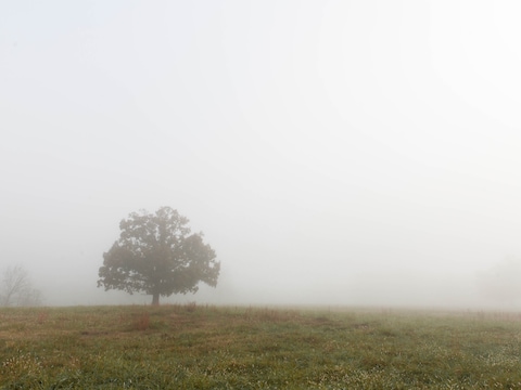 Opklaringen en lokaal nevel of mist in Herentals in de nacht