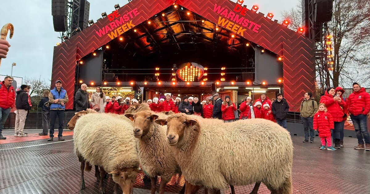 KIJK. Met tien schapen, geleidehond en boer André: openluchtmuseum ...
