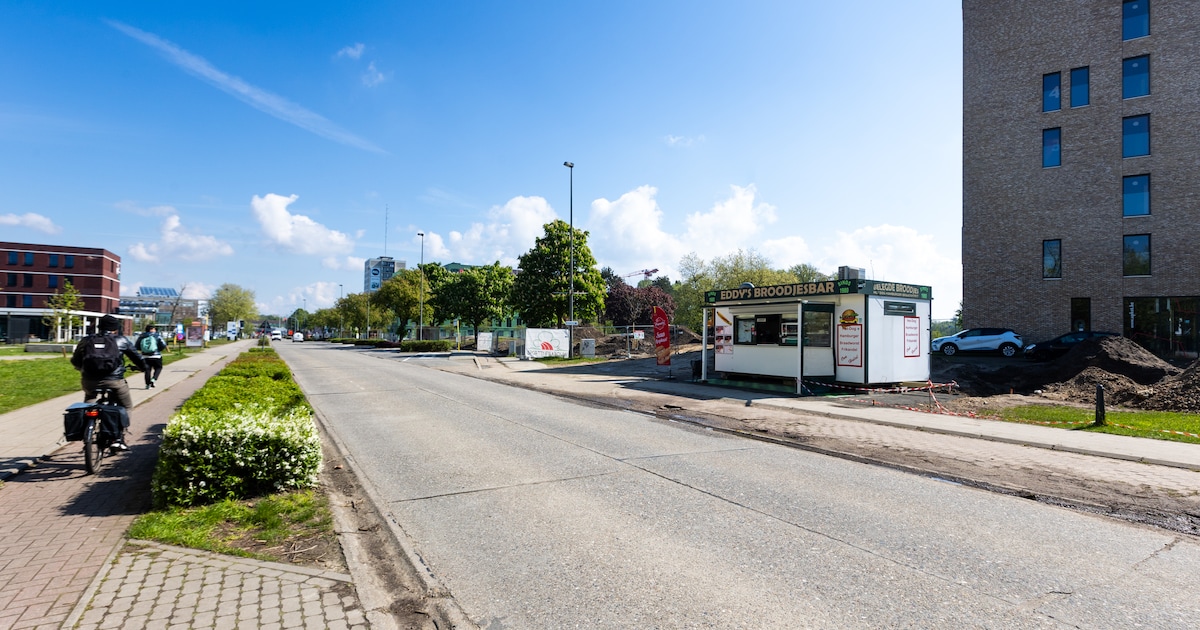 Elfde-Liniestraat krijgt grote metamorfose vanaf februari: De drukke weg wordt autovrije campuslaan