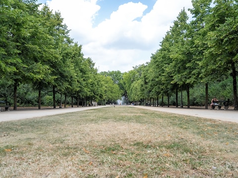 Het Warandepark in Brussel ligt er uitgedroogd bij.