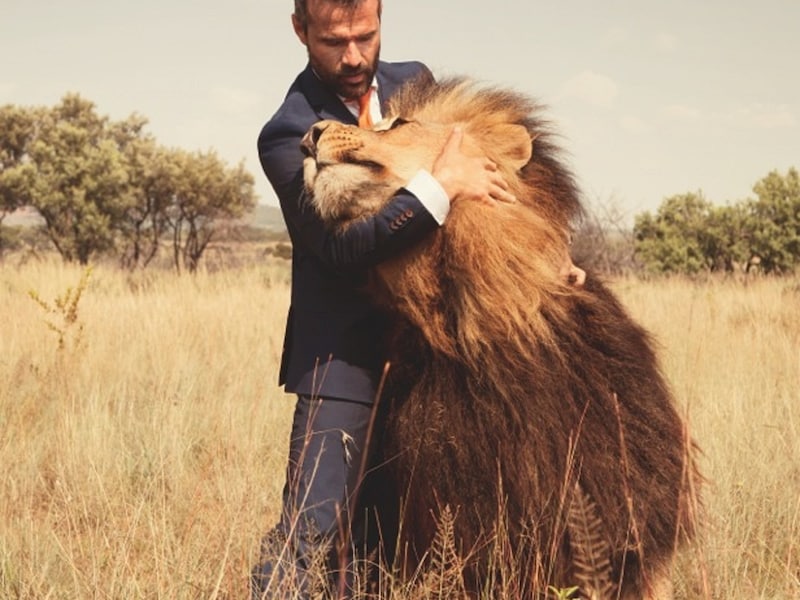 Kevin Richardson knuffelt met een mannetjesleeuw