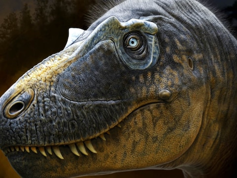 Reconstructie van hoe de nieuwe tyrannosaurus, de Daspletosaurus wilsoni, er zou kunnen hebben uitgezien. 