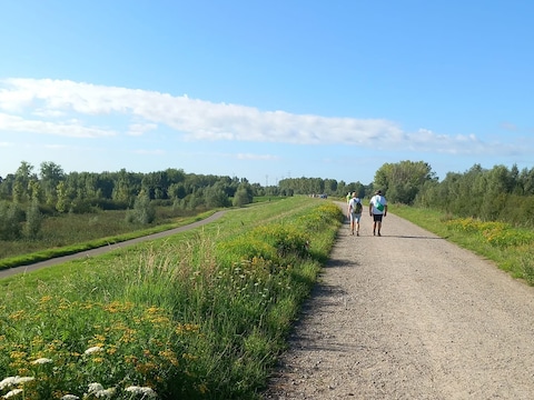 Barbierbeektochten