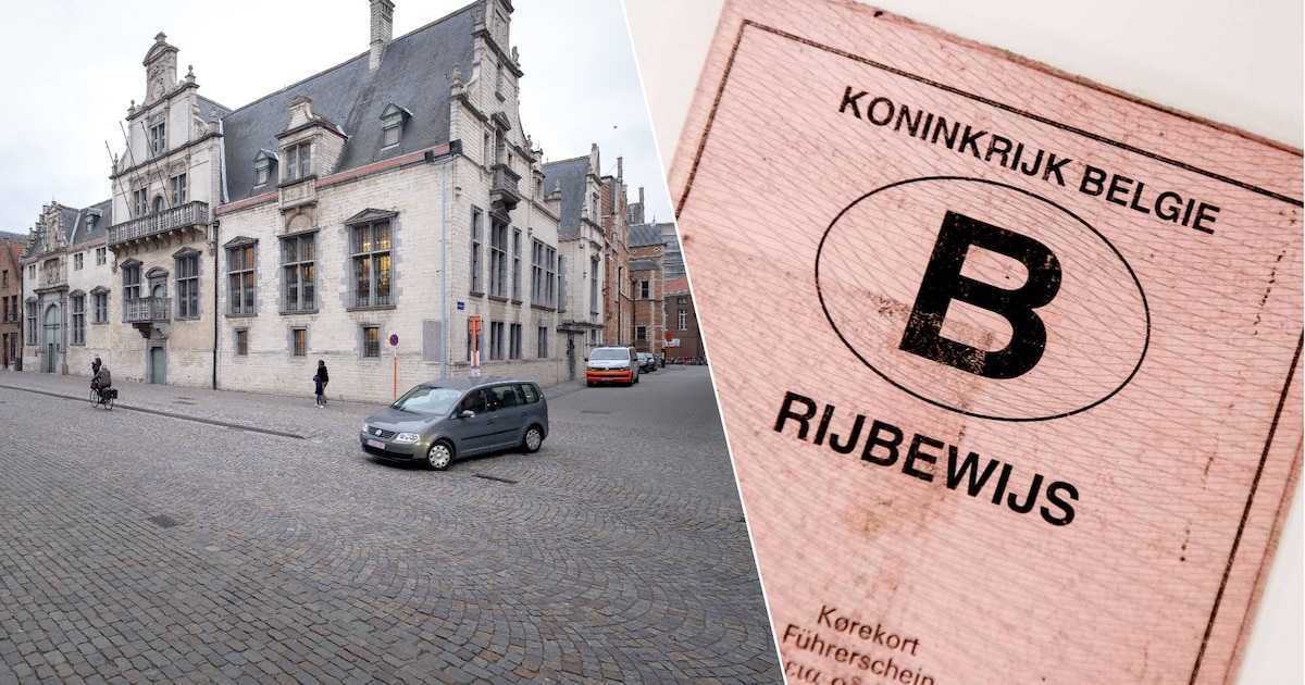 “Mevrouw, het moet gewoon stoppen hé”: vrouw derde keer voor politierechter nadat ze zonder rijbewij