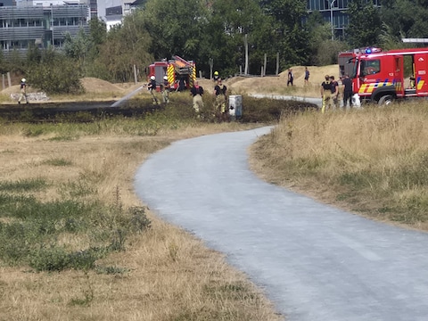 Kleine grasbrand bij kunstwerk op Konijnenwei in Antwerpen snel geblust
