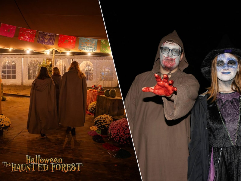 Van spooktochten tot pompoenen: deze 7 activiteiten in de Kempen bezorgen je de kriebels