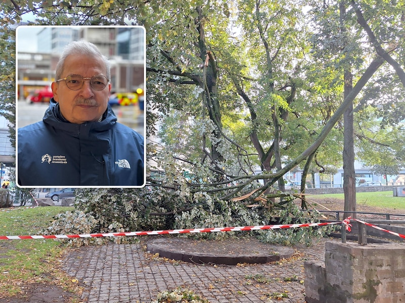 Aan de Putterij in het centrum van Brussel moet nog een afgeknakte tak opgeruimd worden. Inzet: woordvoerder Walter Derieuw