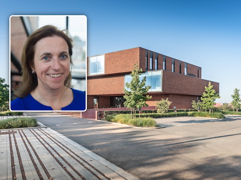 Nelissen Steenfabrieken, Inzet: Inge Moors