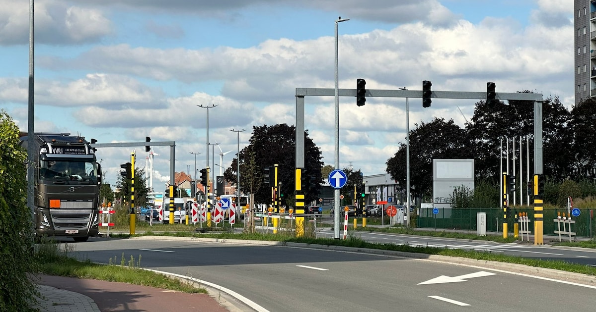 Vijf personen opgepakt voor verboden wapenbezit in Afrikalaan | Regio ...