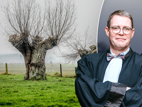 Man trekt naar vrederechter door knotwilg van buren, maar wat doe je tegen overhangende takken? “Pas de wet hier niet letterlijk toe”