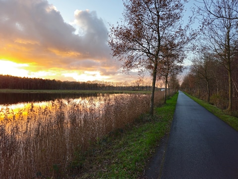 Aan natuurschoon geen gebrek in het werkgebied van De Torenvalk. We zien de Boskapeldreef in Wingene, met de naastgelegen Caluwenbroekvijver. 