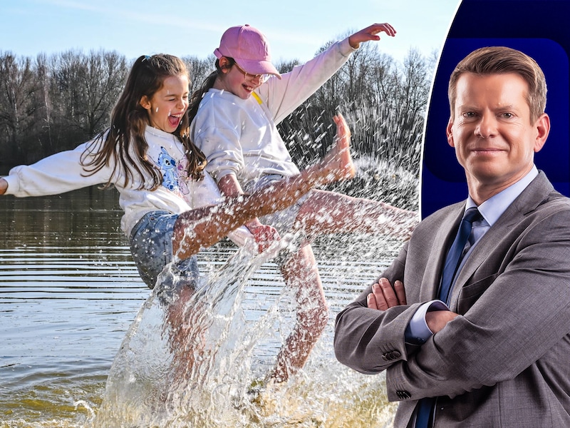 David Dehenauw.