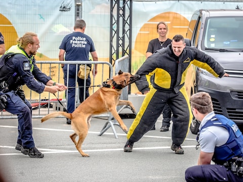 Politiehonden geven demo in Koksijde