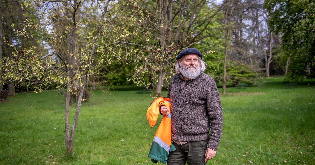 Bart Backaert geeft bomenlezing in het Rubenshuis: “Kunstgeschiedenis ...