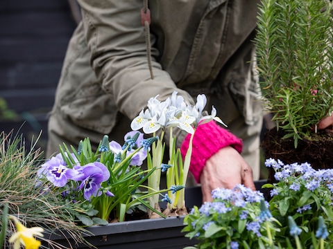 Archieffoto: inwoners van Haacht en Tildonk kunnen streekeigen planten en bomen voor in de tuin bestellen en gratis advies inwinnen bij een tuinranger.