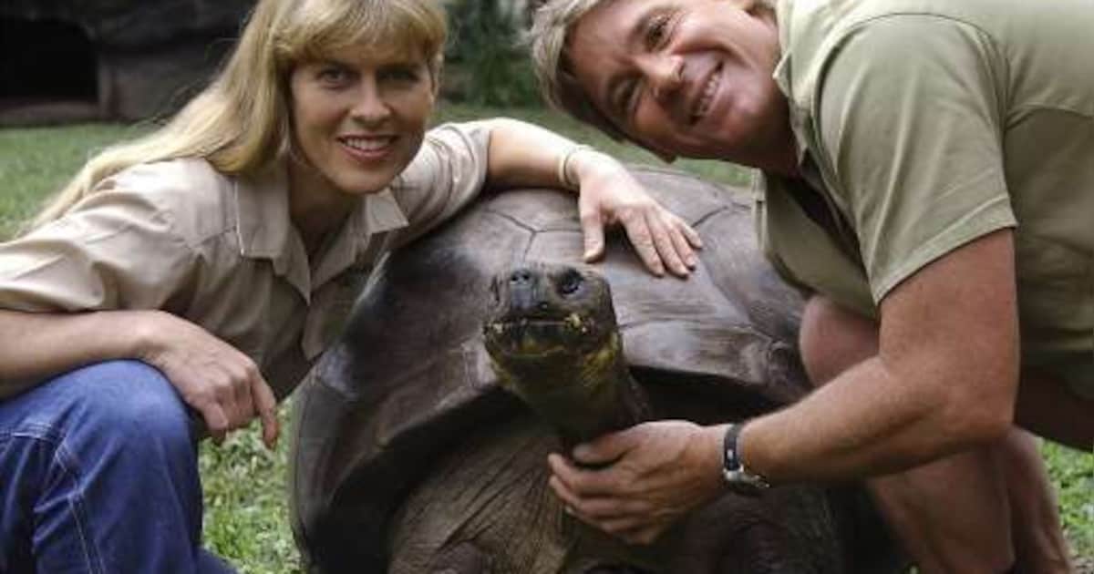 Het tragische leven van Steve Irwin (deel 2): hoe een pijnlijke ...