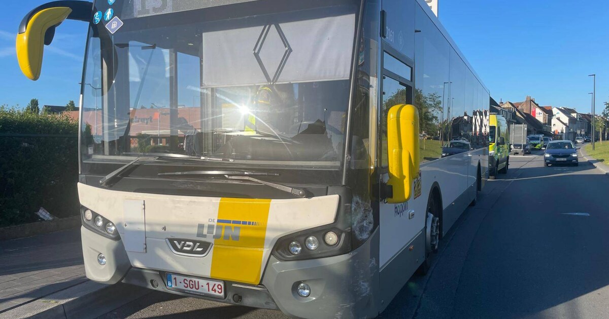 Heusden-Zolder krijgt nieuwe schoollijn na protest tegen schrappen busverbinding: “Mobiliteit is een