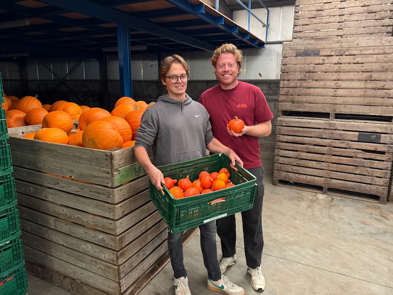 Pompoenteler Mathias Rommens uit Vremde en Thomas Schiltz van Waste Warriors tonen enkele van de 'onverkoopbare' pompoenen die ze alsnog willen verkopen.