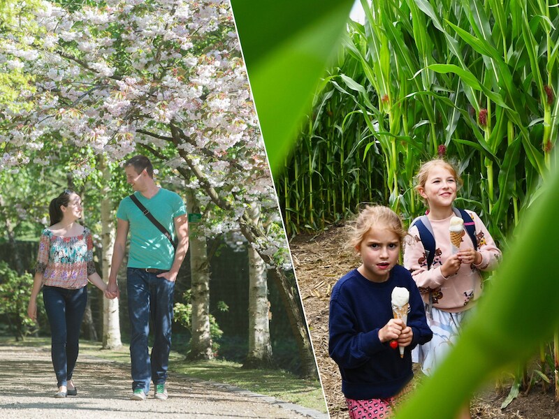 Met deze 7 tips in Limburg geniet je optimaal van de nationale feestdag
