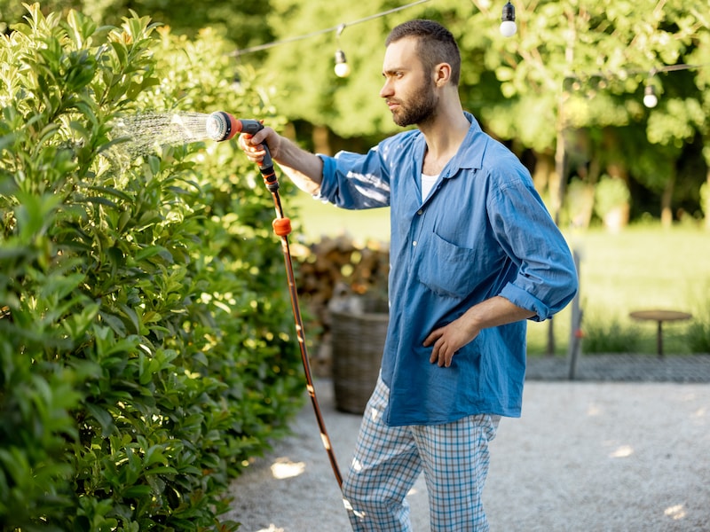 Wanneer geef je je tuin best water? En hoe hou je dat vocht vervolgens optimaal vast?