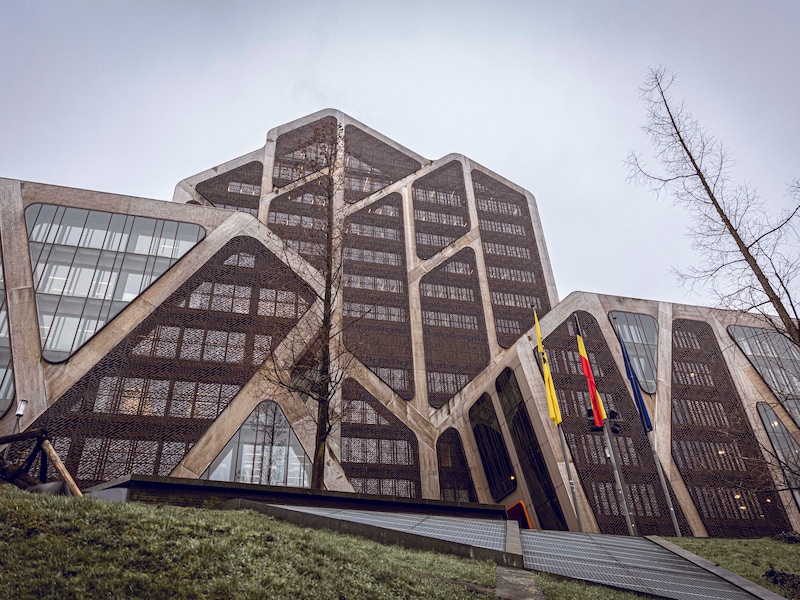 De zaak werd vandaag behandeld in de correctionele rechtbank van Hasselt. 