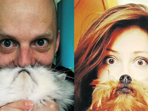 Met de neus en bek van een kat (l) of een hond (r) wordt de illusie van een katten- of hondenbaard gewekt.