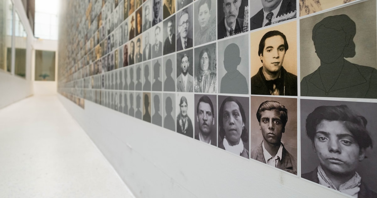 Grote doorbraak in zoektocht naar beelden: 203 nieuwe foto’s van slachtoffers toegevoegd aan portret